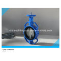 DIN Wafer Soft Seal PTFE Lined/Seated Butterfly Valve